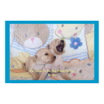 Goldendoodle Scripture Poster posters by carinabryant Goldendoodle Scripture Poster posters
