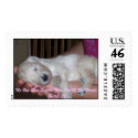 Goldendoodle Scripture Stamps