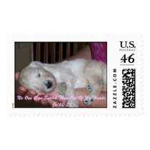 Goldendoodle Scripture Stamps