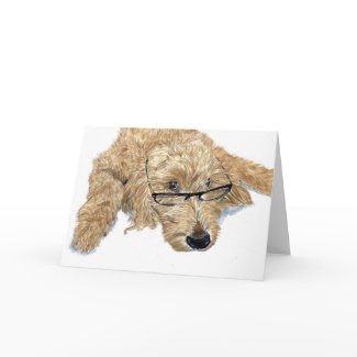 Goldendoodle Stella Greeting Cards card