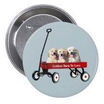 Goldens In Wagon Button