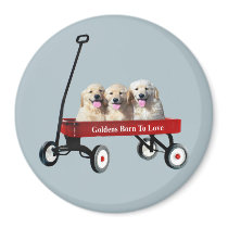 Goldens In Wagon Magnet