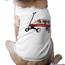Goldens In Wagon Pet Clothing