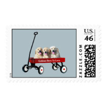 Goldens In Wagon Postage