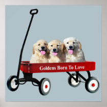 Goldens In Wagon Print