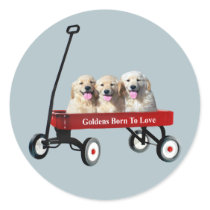 Goldens In Wagon Sticker