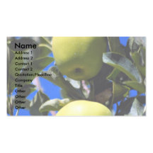 Goldens, Moxee, Washington Business Card