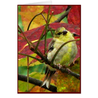 Goldfinch and Autumn Leaves