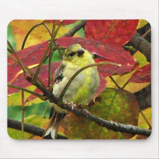 Goldfinch and Autumn Leaves Mousepads