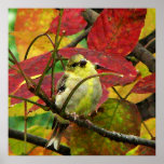 Goldfinch and Autumn Leaves Print