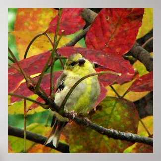 Goldfinch and Autumn Leaves Print