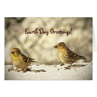 Goldfinch and Pine Siskin Earth Day card