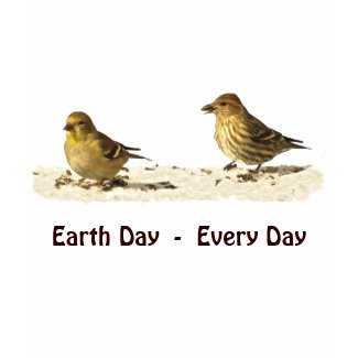 Goldfinch and Pine Siskin Earth Day