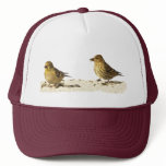 Goldfinch and Pine Siskin Mesh Hats