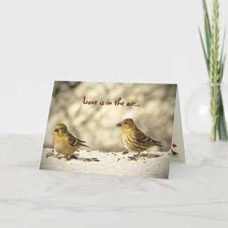 Goldfinch and Pine Siskin Valentines Day Cards