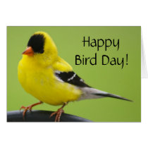 Goldfinch Bird Day Card