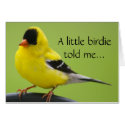 Goldfinch Card by SuRi_Photography Goldfinch Card