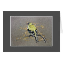 Goldfinch cards by pawtraitart Goldfinch cards