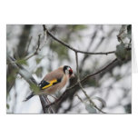 Goldfinch Card