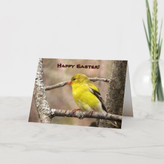 Goldfinch Easter zazzle_card