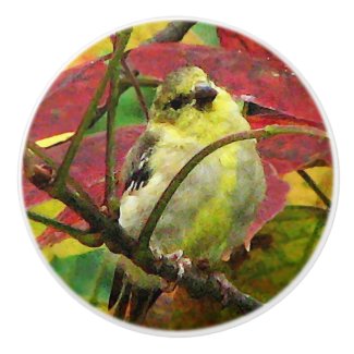Goldfinch in Autumn Ceramic Knob