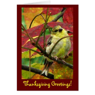 Goldfinch in Autumn Thanksgiving Greeting Card