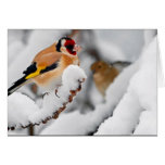 Goldfinch in snow greeting card