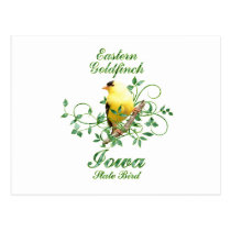 Goldfinch Iowa State Bird postcards