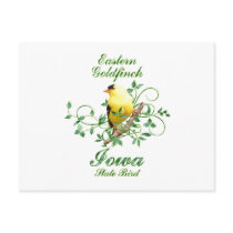Goldfinch Iowa State Bird Post Cards