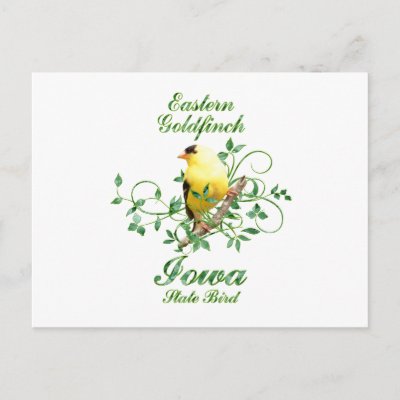 Goldfinch Iowa State Bird Post Cards