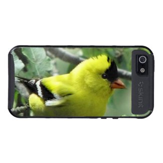 Goldfinch iPhone 5 Case