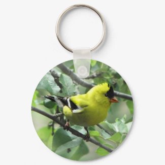 Goldfinch Keychain keychain