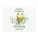 Goldfinch New Jersey State Bird postcards