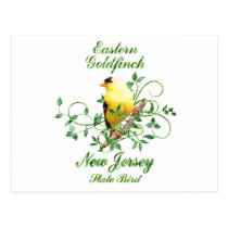 Goldfinch New Jersey State Bird postcards
