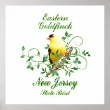 Goldfinch New Jersey State Bird Poster