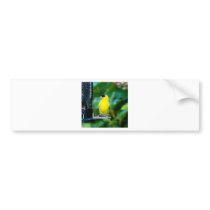 Goldfinch on feeder bumper stickers
