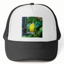 Goldfinch on feeder trucker hat