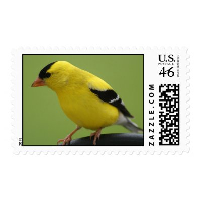 Goldfinch Postage