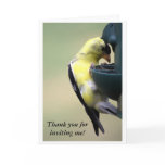 Goldfinch Thank You for Inviting Me Greeting Card