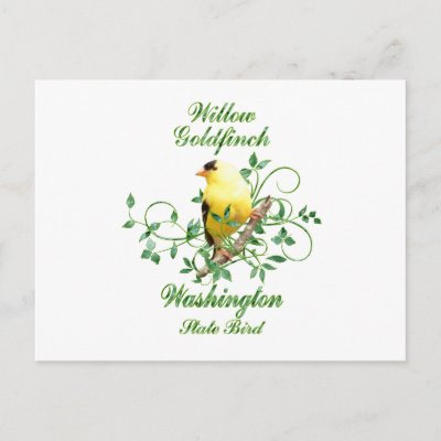 Washington Goldfinch