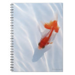 Goldfish 5 spiral notebook