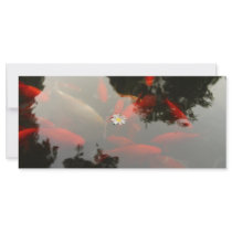 Goldfish and flower