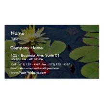 Goldfish Animal Business Card Template