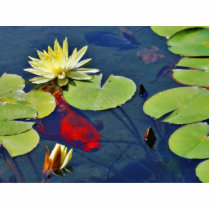 Goldfish Animal photo sculptures