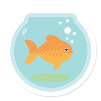 goldfish bowl pictures