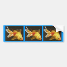 Goldfish Bumper Sticker