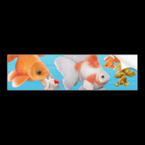 Goldfish Bumper Sticker bumper stickers