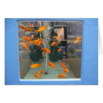 goldfish cards by lilyhydrangea goldfish cards