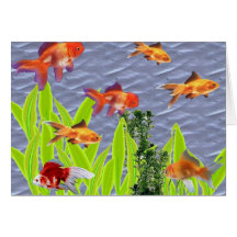 Goldfish Cards
