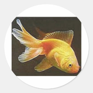 Goldfish Stickers | Zazzle